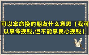 可以拿命换的朋友什么意思（我可以拿命换钱,但不能拿良心换钱）