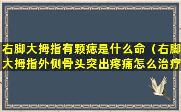 右脚大拇指有颗痣是什么命（右脚大拇指外侧骨头突出疼痛怎么治疗）