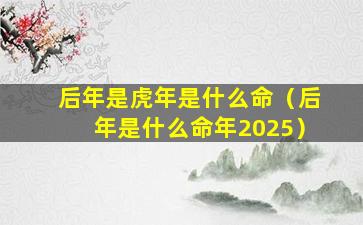 后年是虎年是什么命（后年是什么命年2025）