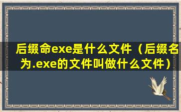 后缀命exe是什么文件（后缀名为.exe的文件叫做什么文件）