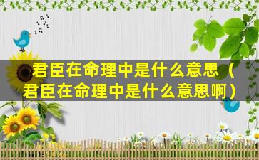 君臣在命理中是什么意思（君臣在命理中是什么意思啊）