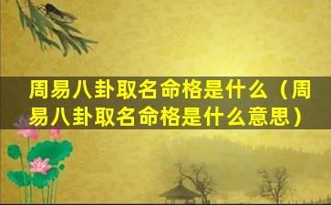 周易八卦取名命格是什么（周易八卦取名命格是什么意思）