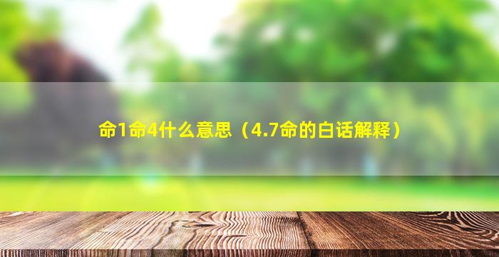 命1命4什么意思（4.7命的白话解释）