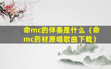 命mc的伴奏是什么（命mc药材原唱歌曲下载）