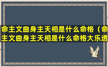 命主文曲身主天相是什么命格（命主文曲身主天相是什么命格大乐透开奖结果）