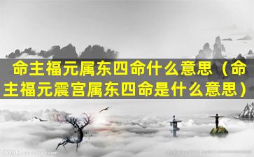 命主福元属东四命什么意思（命主福元震宫属东四命是什么意思）