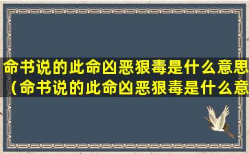 命书说的此命凶恶狠毒是什么意思（命书说的此命凶恶狠毒是什么意思啊）