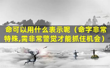 命可以用什么表示呢（命字非常特殊,需非常警觉才能抓住机会）