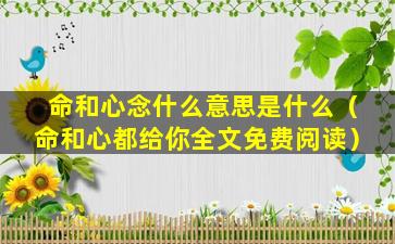 命和心念什么意思是什么（命和心都给你全文免费阅读）