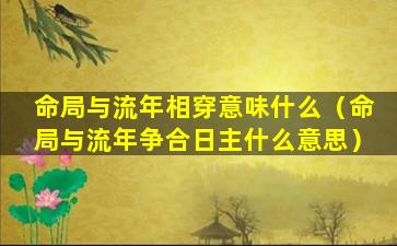 命局与流年相穿意味什么（命局与流年争合日主什么意思）