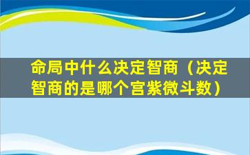 命局中什么决定智商（决定智商的是哪个宫紫微斗数）