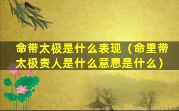 命带太极是什么表现（命里带太极贵人是什么意思是什么）