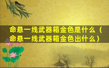 命悬一线武器箱金色是什么（命悬一线武器箱金色出什么）