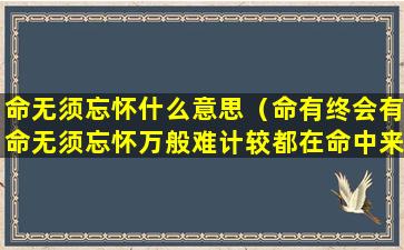 命无须忘怀什么意思（命有终会有命无须忘怀万般难计较都在命中来）