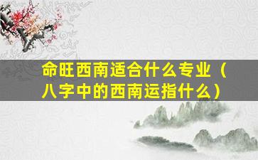 命旺西南适合什么专业（八字中的西南运指什么）