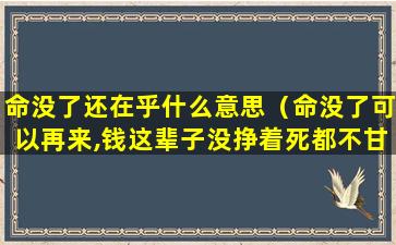 命没了还在乎什么意思（命没了可以再来,钱这辈子没挣着死都不甘心）