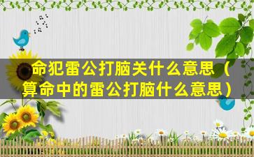 命犯雷公打脑关什么意思（算命中的雷公打脑什么意思）