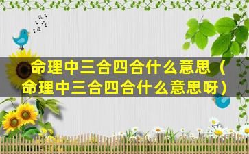 命理中三合四合什么意思（命理中三合四合什么意思呀）