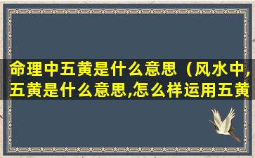 命理中五黄是什么意思（风水中,五黄是什么意思,怎么样运用五黄）