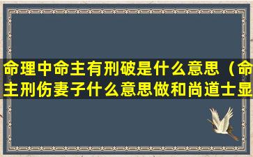 命理中命主有刑破是什么意思（命主刑伤妻子什么意思做和尚道士显贵）