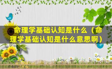 命理学基础认知是什么（命理学基础认知是什么意思啊）