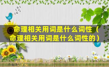 命理相关用词是什么词性（命理相关用词是什么词性的）