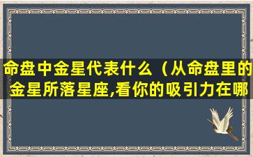 命盘中金星代表什么（从命盘里的金星所落星座,看你的吸引力在哪）