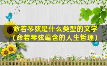 命若琴弦是什么类型的文学（命若琴弦蕴含的人生哲理）