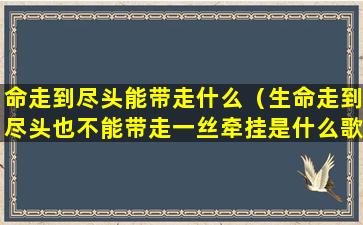 命走到尽头能带走什么（生命走到尽头也不能带走一丝牵挂是什么歌）