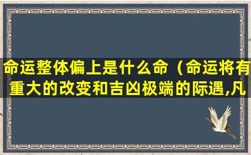 命运整体偏上是什么命（命运将有重大的改变和吉凶极端的际遇,凡事宜谨慎!）