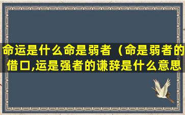 命运是什么命是弱者（命是弱者的借口,运是强者的谦辞是什么意思）