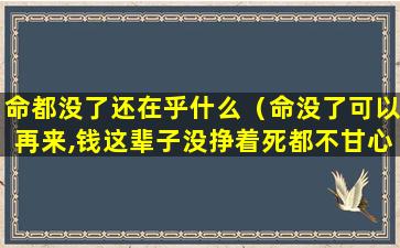 命都没了还在乎什么（命没了可以再来,钱这辈子没挣着死都不甘心）