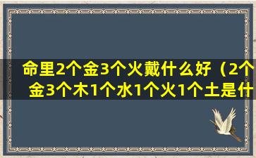 命里2个金3个火戴什么好（2个金3个木1个水1个火1个土是什么意思）