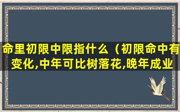 命里初限中限指什么（初限命中有变化,中年可比树落花,晚年成业享荣华）