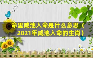 命里咸池入命是什么意思（2021年咸池入命的生肖）