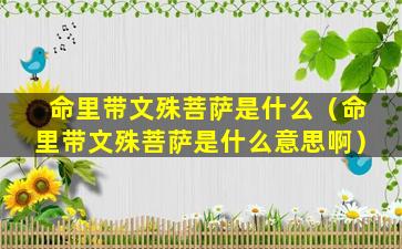 命里带文殊菩萨是什么（命里带文殊菩萨是什么意思啊）