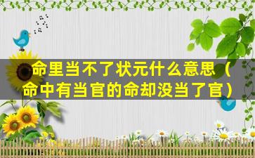 命里当不了状元什么意思（命中有当官的命却没当了官）