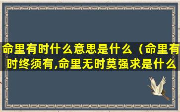 命里有时什么意思是什么（命里有时终须有,命里无时莫强求是什么意思）