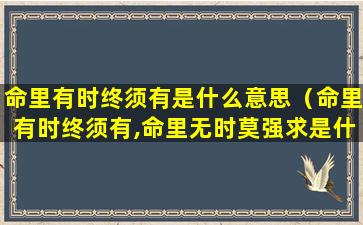 命里有时终须有是什么意思（命里有时终须有,命里无时莫强求是什么意思）