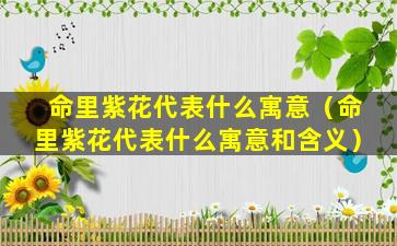 命里紫花代表什么寓意（命里紫花代表什么寓意和含义）