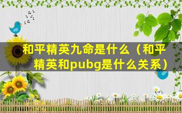 和平精英九命是什么（和平精英和pubg是什么关系）