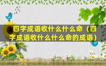 四字成语收什么什么命（四字成语收什么什么命的成语）