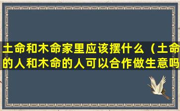 土命和木命家里应该摆什么（土命的人和木命的人可以合作做生意吗）