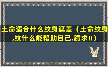 土命适合什么纹身遮盖（土命纹身,纹什么能帮助自己.跪求!!）