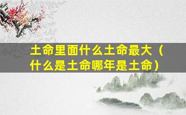 土命里面什么土命最大（什么是土命哪年是土命）