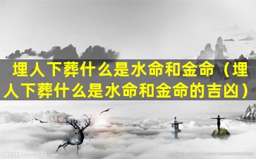 埋人下葬什么是水命和金命（埋人下葬什么是水命和金命的吉凶）