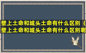 壁上土命和城头土命有什么区别（壁上土命和城头土命有什么区别呢）