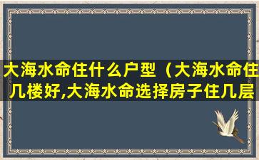 大海水命住什么户型（大海水命住几楼好,大海水命选择房子住几层最好）