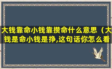 大钱靠命小钱靠攒命什么意思（大钱是命小钱是挣,这句话你怎么看）