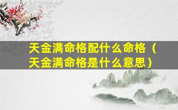 天金满命格配什么命格（天金满命格是什么意思）